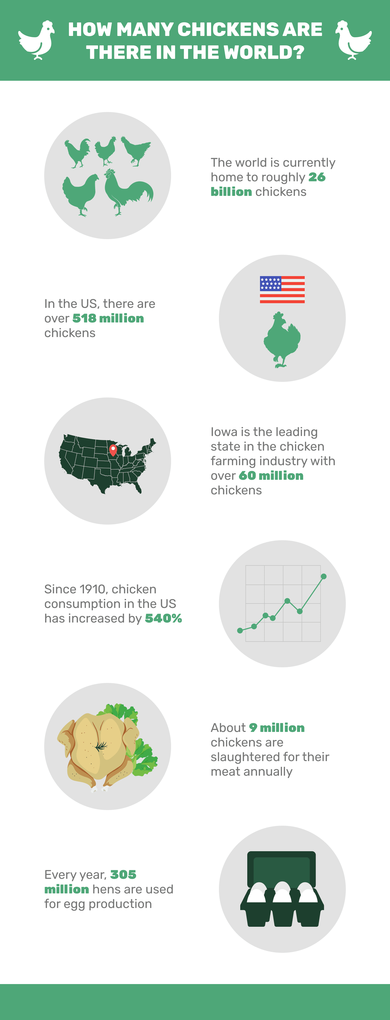 How_Many_Chickens_Are_There_in_the_World_