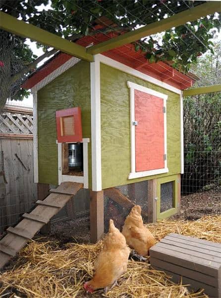 Our Urban Chicken Coop Plan