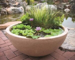 actual use of Aquascape Aquatic Desert Granite Pond Container