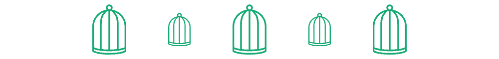 divider-birdcage