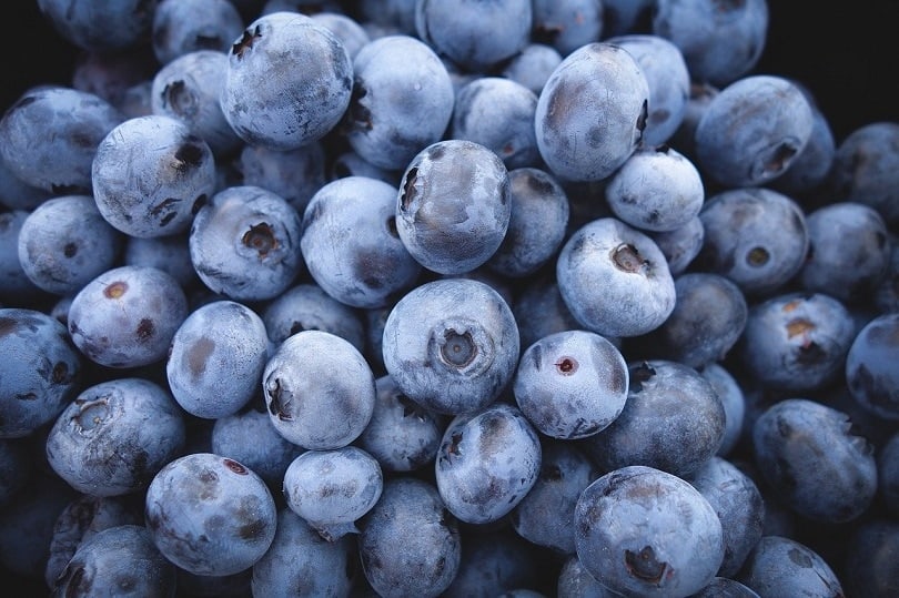 blueberries-pixabay