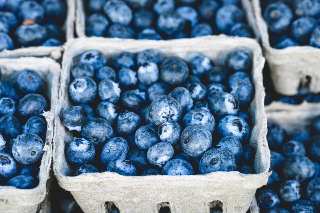bunch of blueberries