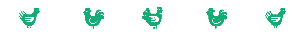 new chicken divider