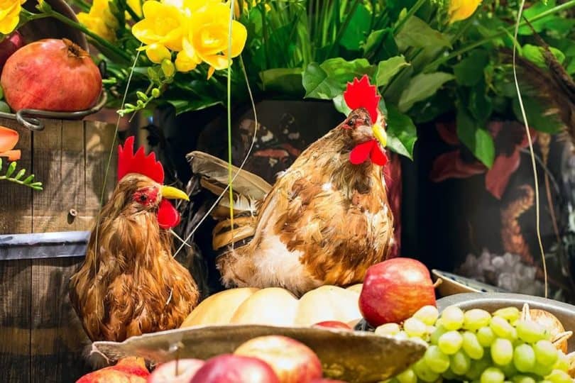chicken with fruits