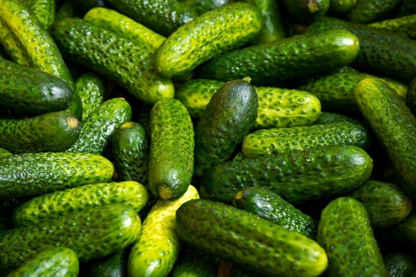 cucumbers