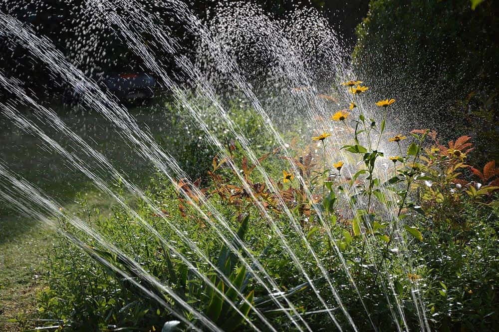 garden with sprinkler system
