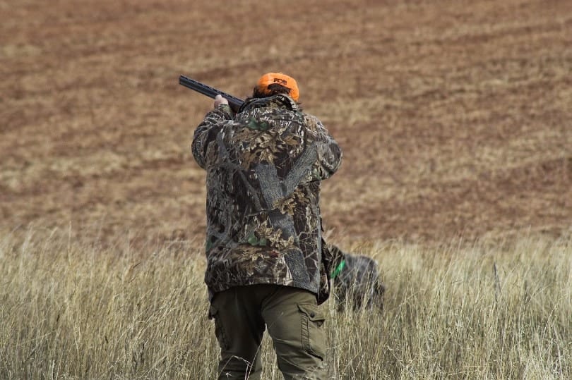 man hunting in the wild