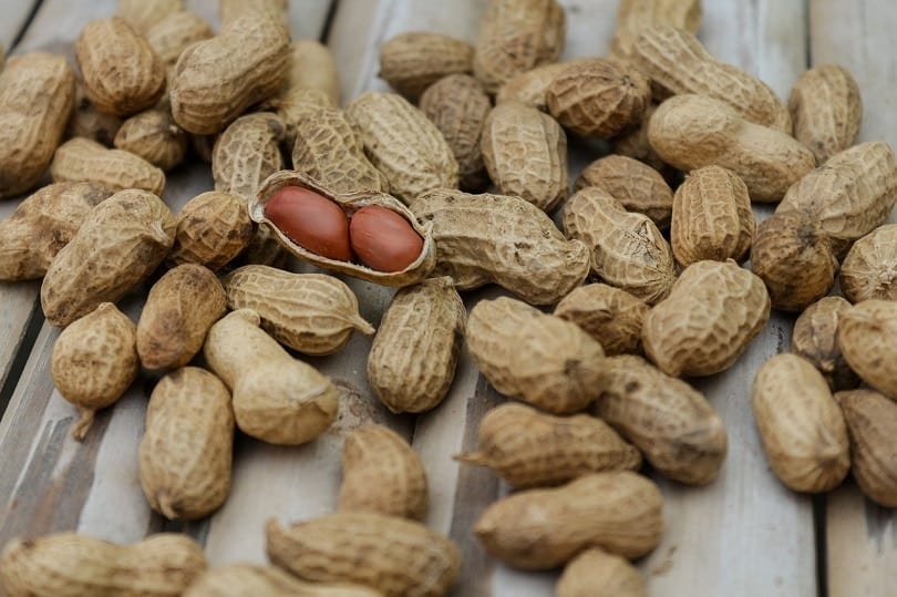 peanuts-pixabay