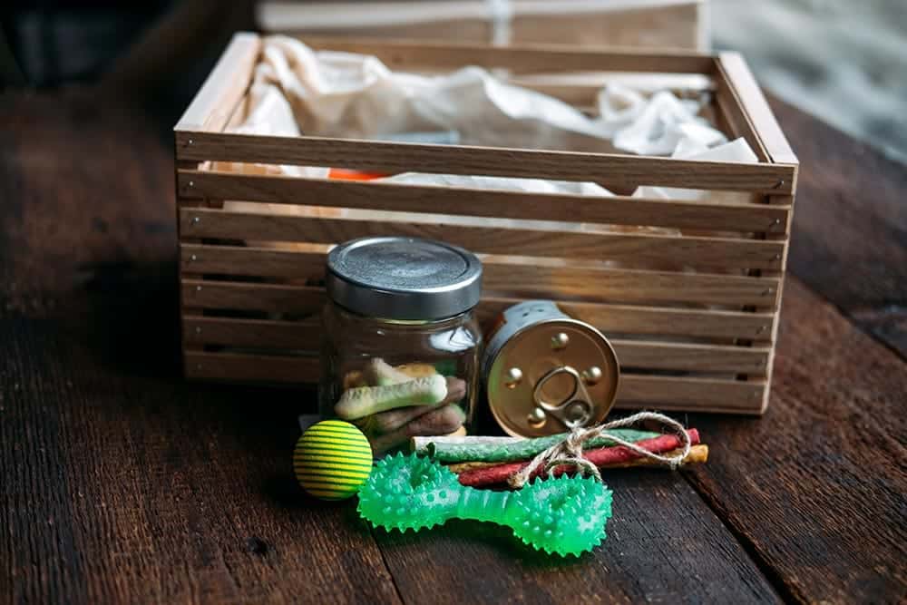 pet supplies outside the crate box