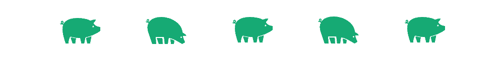 new pig divider
