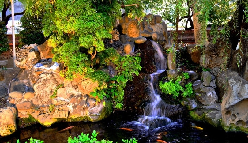 pond filtration