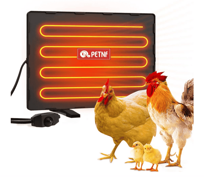 chicken coop heater 