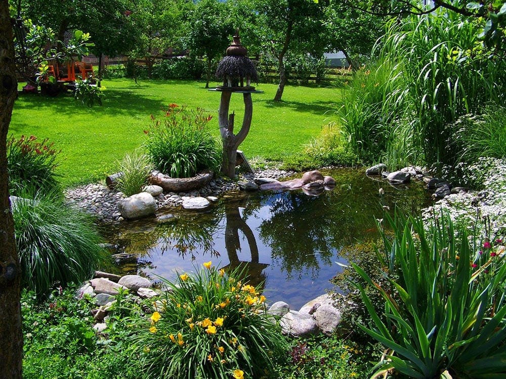 small pond in the backyard