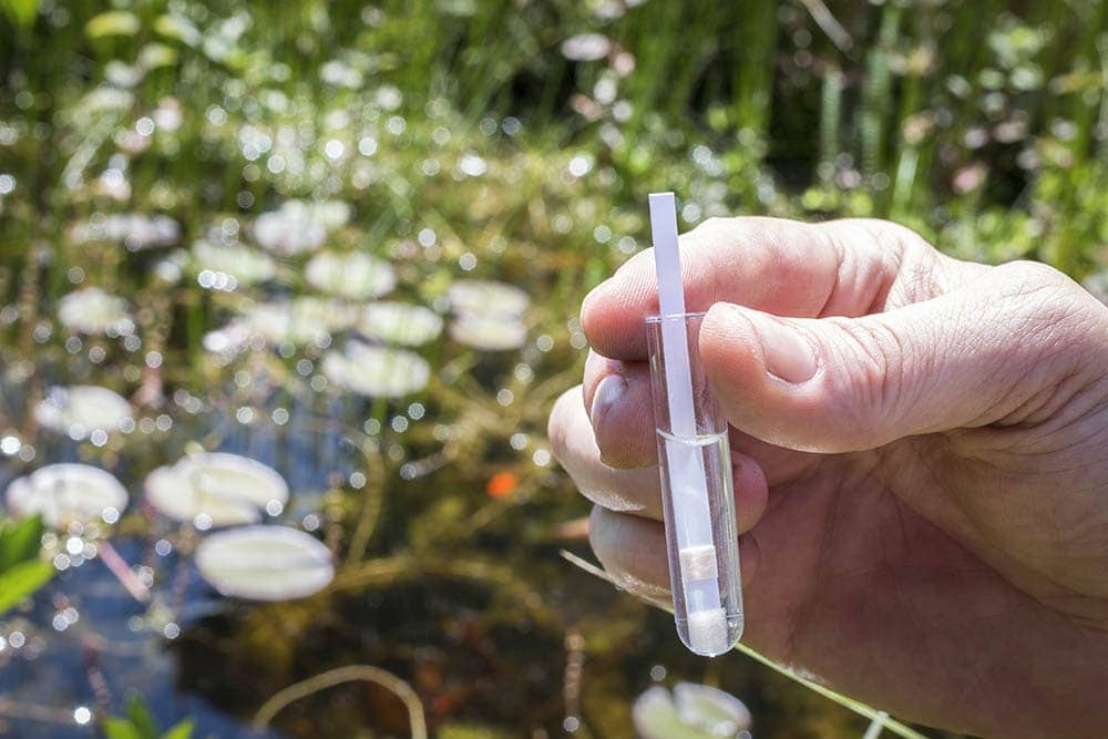 testing pH of pond water