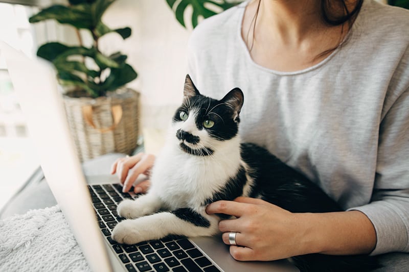 woman working on her laptop with her cat
