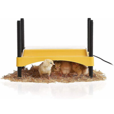 Brinsea EcoGlow Chick and Duckling Brooder