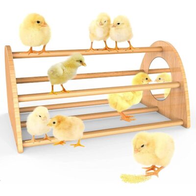 Ensayeer Bamboo Chicken Perch with Mirror