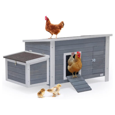 Petsfit Weatherproof Outdoor Chicken Coop